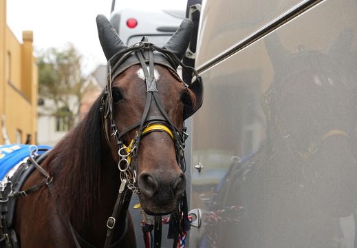 A7400366 ZANDVOORTfoto