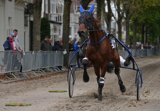 A7401426 ZANDVOORTfoto