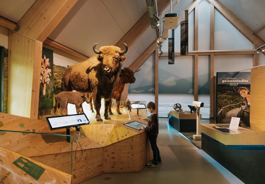 FZ X Visit contentdag 121