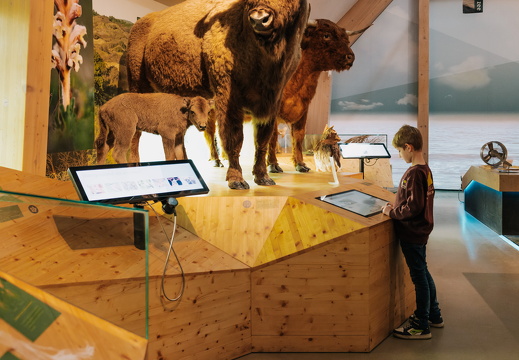 FZ X Visit contentdag 123