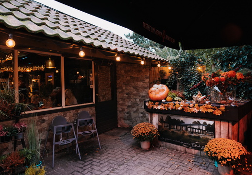 FZ X Visit contentdag 302