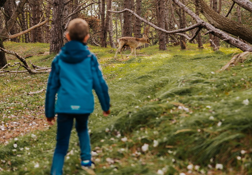 FZ X Visit contentdag 230