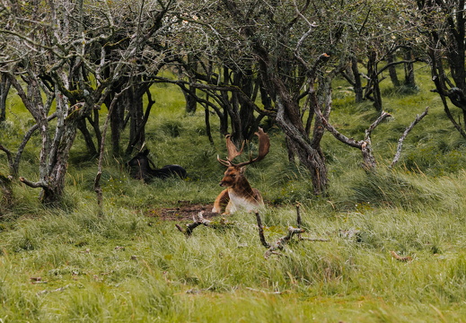 FZ X Visit contentdag 256