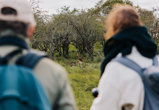 FZ X Visit contentdag 257