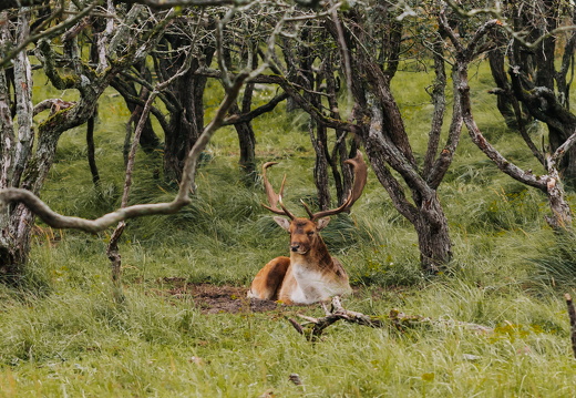 FZ X Visit contentdag 260