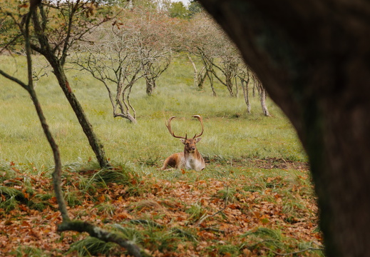 FZ X Visit contentdag 261
