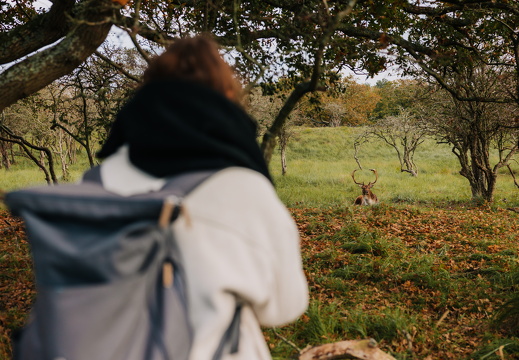 FZ X Visit contentdag 263