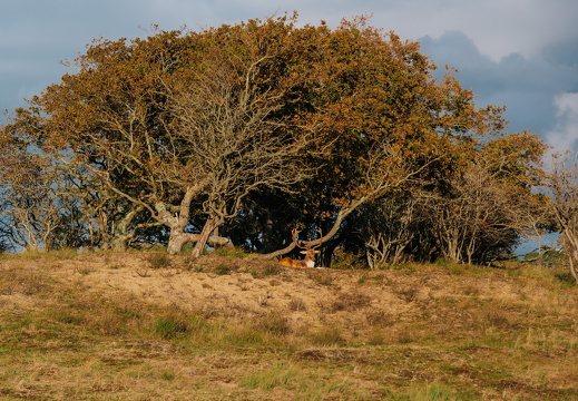 FZ X Visit contentdag 264