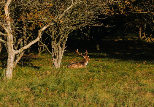 FZ X Visit contentdag 265