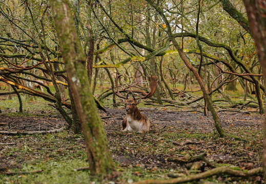 FZ X Visit contentdag 266