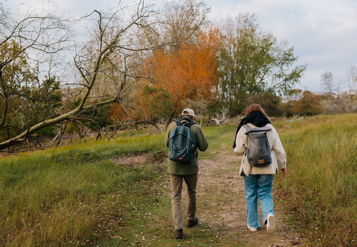 FZ X Visit contentdag 267