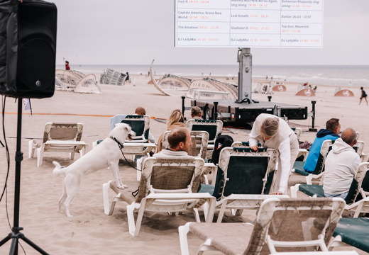 FZ X Visit Filmfestival 056