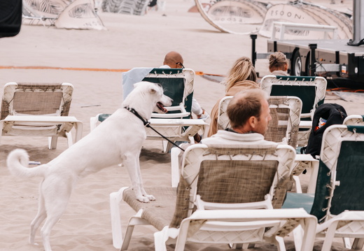 FZ X Visit Filmfestival 057