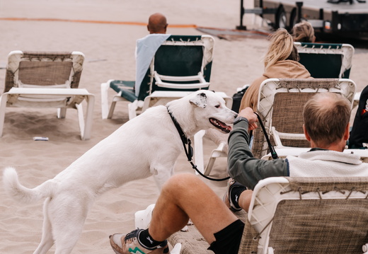 FZ X Visit Filmfestival 058