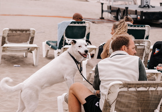 FZ X Visit Filmfestival 059