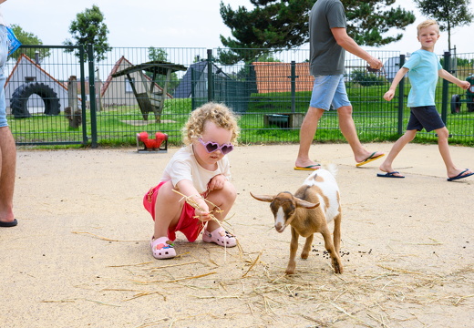 HR - Visit Zandvoort - Kinderboerderij Center Parcs-2211