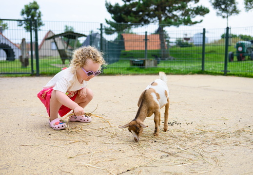 HR - Visit Zandvoort - Kinderboerderij Center Parcs-2221