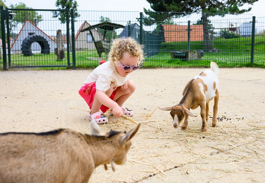 HR - Visit Zandvoort - Kinderboerderij Center Parcs-2225