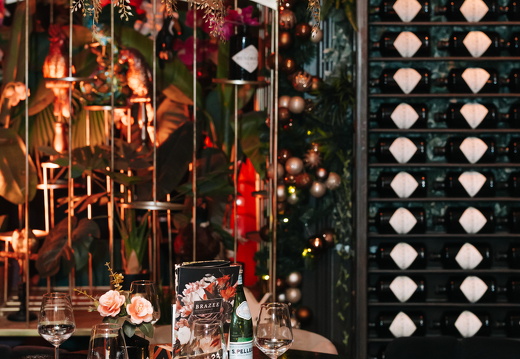 FZ X Visit Brazee 004