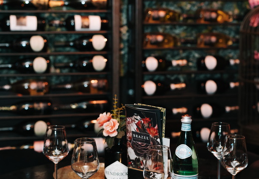 FZ X Visit Brazee 005