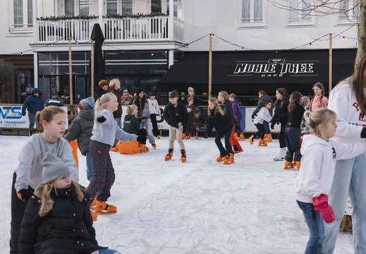 Winter in ZV x FZ 11