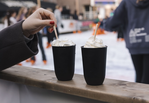 Winter in ZV x FZ 26