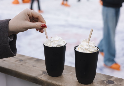 Winter in ZV x FZ 27