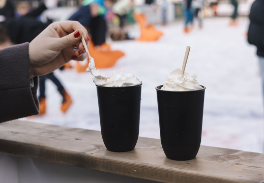 Winter in ZV x FZ 28