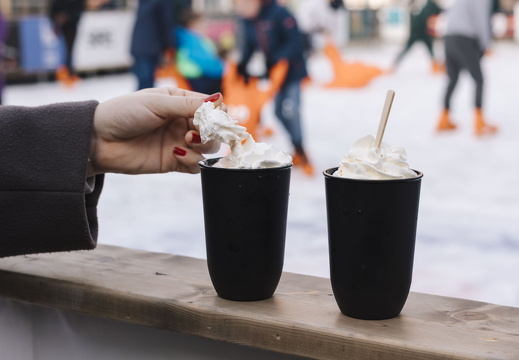 Winter in ZV x FZ 29