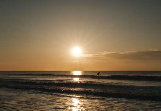 Winter in ZV x FZ 50