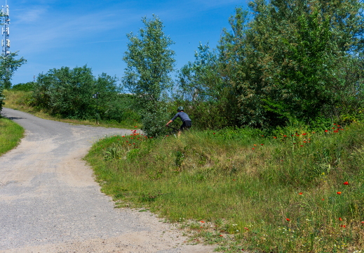 Zomer Keur (rondje circuit) 000