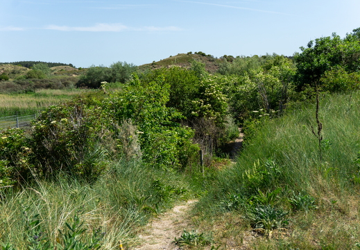 Zomer Keur (rondje circuit) 430