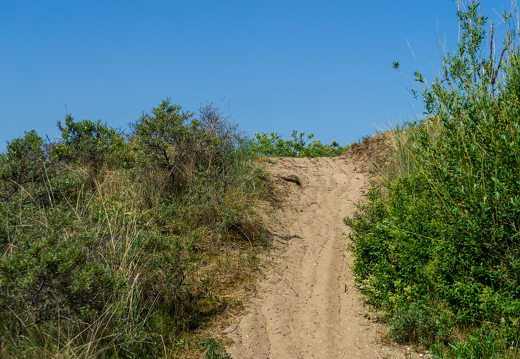 Zomer Keur (rondje circuit) 433