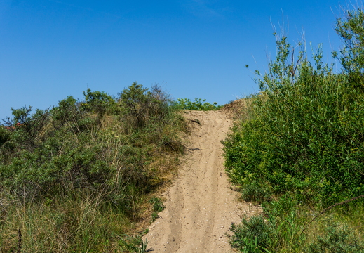 Zomer Keur (rondje circuit) 436