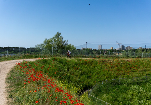 Zomer Keur (rondje circuit) 489