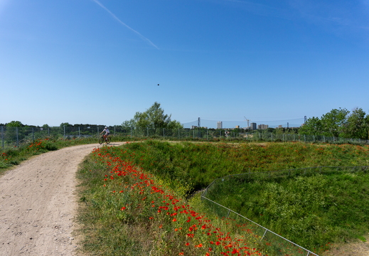 Zomer Keur (rondje circuit) 492