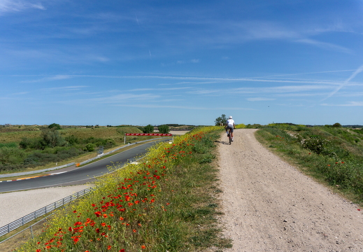 Zomer Keur (rondje circuit) 501