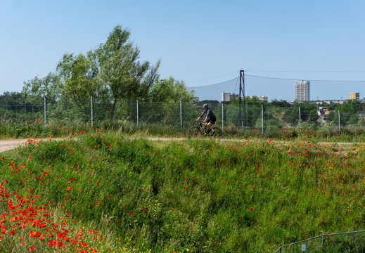 Zomer Keur (rondje circuit) 504