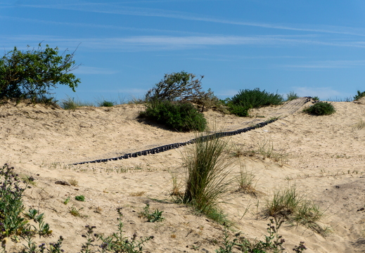 Zomer Keur (rondje circuit) 553