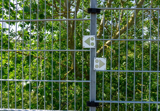 Zomer Keur (rondje circuit) 753
