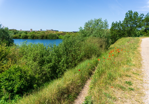 Zomer Keur (rondje circuit) 945