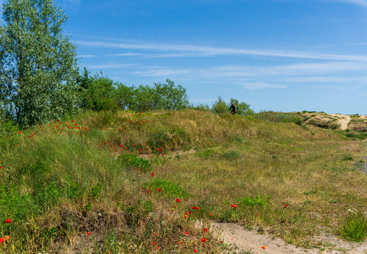 Zomer Keur (rondje circuit) 981