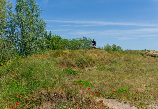 Zomer Keur (rondje circuit) 984 2