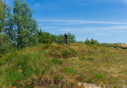 Zomer Keur (rondje circuit) 987