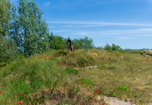 Zomer Keur (rondje circuit) 991 2