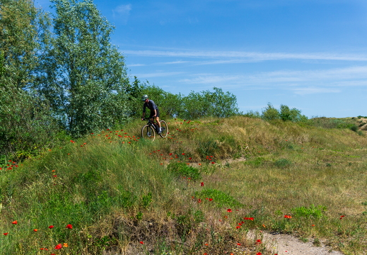 Zomer Keur (rondje circuit) 994 2