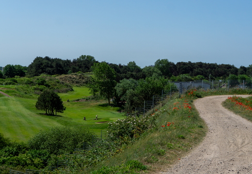 Zomer Keur (rondje circuit) 451 2
