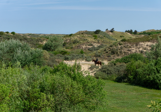 Zomer Keur (rondje circuit) 529