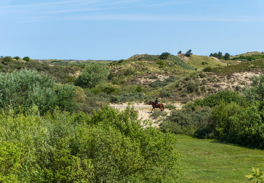 Zomer Keur (rondje circuit) 532