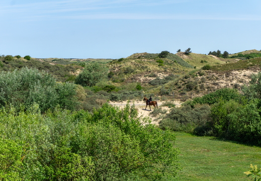 Zomer Keur (rondje circuit) 535
